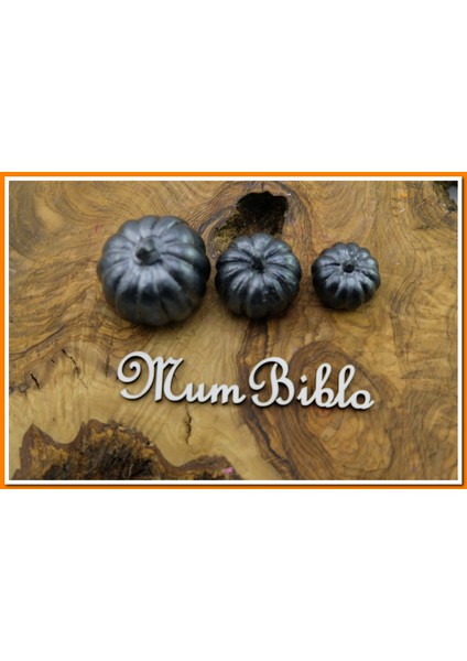 Balkabağı Biblo Gümüş Renk Üçlü Set
