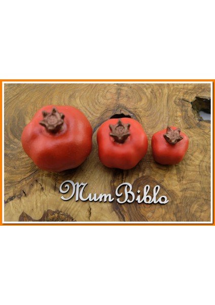 Nar Biblo Üçlü Set