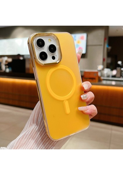 Apple 13 Pro Max Telefon Kılıfı (Yurt Dışından)