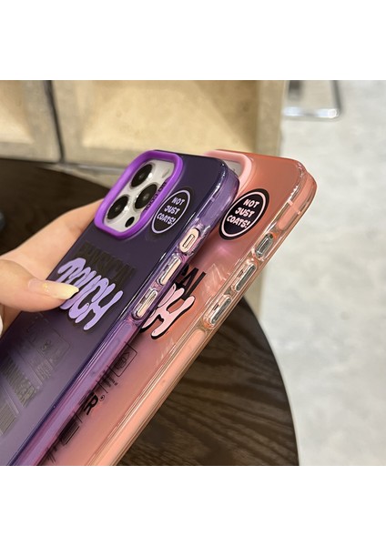 Apple 13 Pro Max Telefon Kılıfı (Yurt Dışından)
