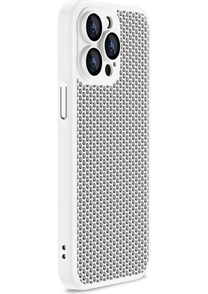 Apple 13 Pro Max Telefon Kılıfı (Yurt Dışından)