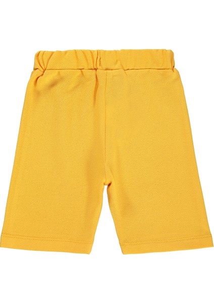 Erkek Bebek Kapri 6-18 Ay Hardal fiyatları