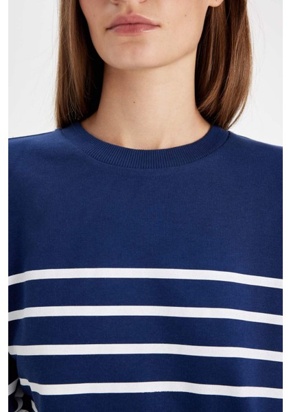 Relax Fit Bisiklet Yaka Çizgili İnce Sweatshirt A9255AX24WN indirimleri