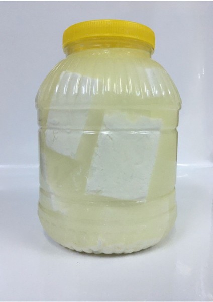 Salamura Peynir (3 kg ) Inek Peyniri Doğal