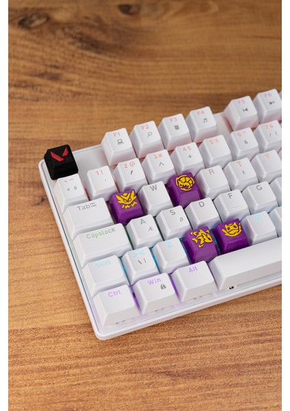 Valorant Gekko Keycaps, Q-E-X-C Mekanik Klavye Tuşu