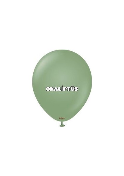 Kalisan Retro Okaliptus 10 Adet Retro Pastel Mat Balon 12INÇ 30CM