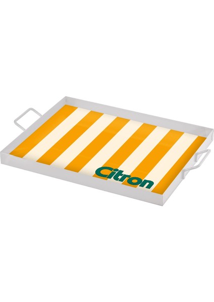 The Mia Citron Dekoratif Metal Tepsi 40X30 cm