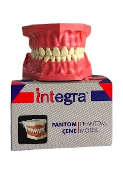 32 Dişli Fantom Çene