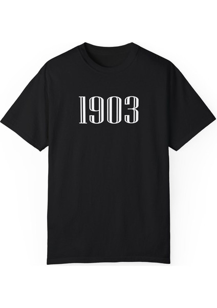 1903 Baskılı Erkek Oversize Tişört modelleri