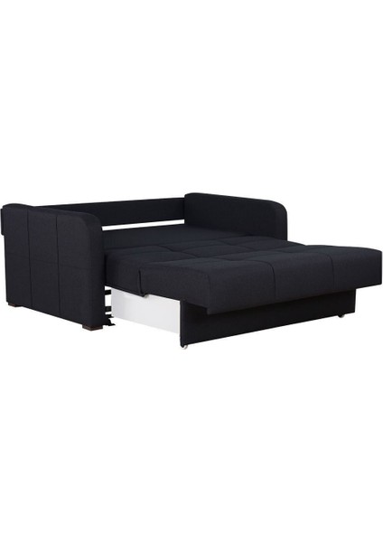 Adonis Iki Kişilik Yataklı Ve Bazalı Kanepe modelleri