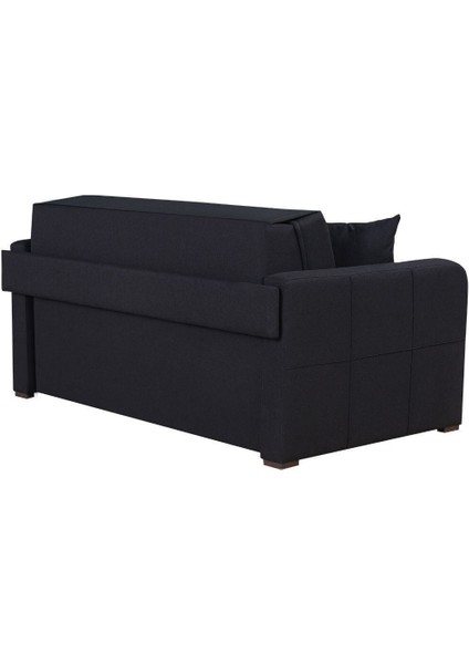 Adonis Iki Kişilik Yataklı Ve Bazalı Kanepe fırsatları