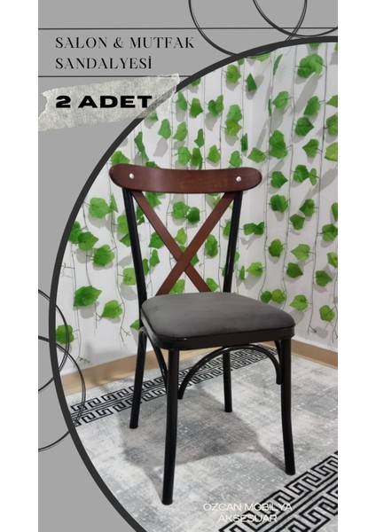 2 Adet Tonet Sandalye Cafe Sandalye Restoran Sandalyesi Mutfak Sandalyesi 2 Adet Fiyatıdır.