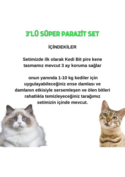 Kedi Deri Parazit Tüy Bakım Bitkisel 3'lü Set %100 Etki ( Tasma,damla,tarak)