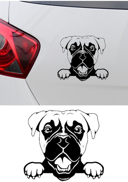 Boxer Köpek Resmi Oto Araba Cam Sticker Çıkartma Bilgisayarlar,kamyonlar, Motosikletler Için