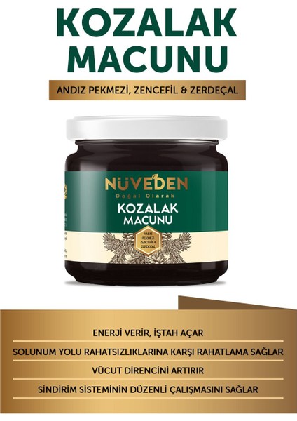 Kozalak Macunu Çam Kozalağı 240 gr Çiçek Balı-Andız Pekmezi-Zerdeçal-Zencefil C Vitaminli