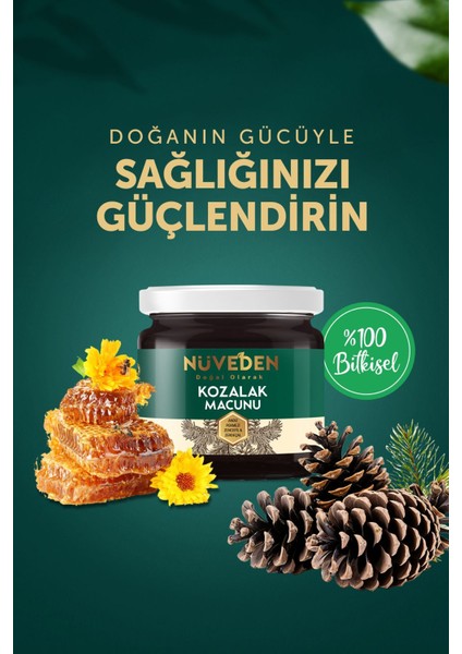 Kozalak Macunu Çam Kozalağı 240 gr Çiçek Balı-Andız Pekmezi-Zerdeçal-Zencefil C Vitaminli