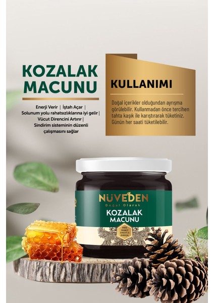 Kozalak Macunu Çam Kozalağı 240 gr Çiçek Balı-Andız Pekmezi-Zerdeçal-Zencefil C Vitaminli