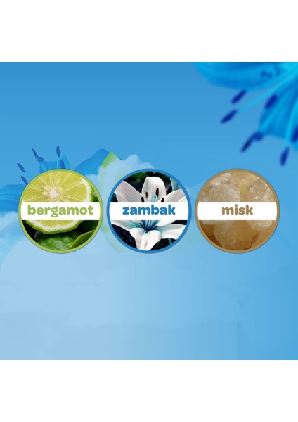 Bebek Kolonyası 150ML Deniz Esintisi (Bergomat-Zambak-Misk Kokulu) (5 Li Set)