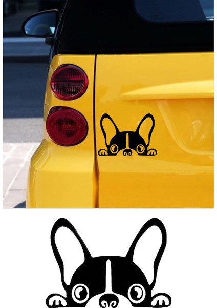 Fransız Bulldog Resmi Oto Araba Cam Sticker Çıkartma Bilgisayarlar,kamyonlar, Motosikletler Için