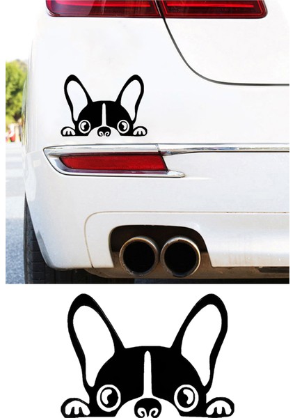 Fransız Bulldog Resmi Oto Araba Cam Sticker Çıkartma Bilgisayarlar,kamyonlar, Motosikletler Için modelleri