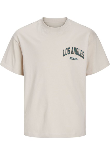 Jjebradley Varsity Erkek Tişört 12269982 1226998221