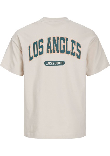 Jjebradley Varsity Erkek Tişört 12269982 1226998221 fiyatları