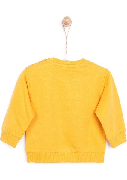 Basic Az Şardonlu Helikopter Baskılı Sweatshirt Erkek Çocuk modelleri