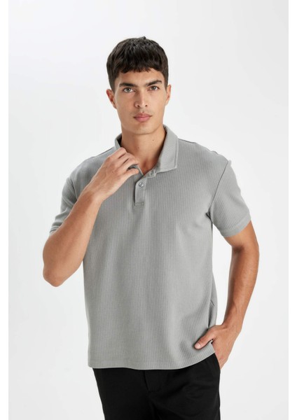 %100 Pamuk Regular Fit Polo Yaka Basic Düz Kısa Kollu Tişört D4814AX24SM fırsatları