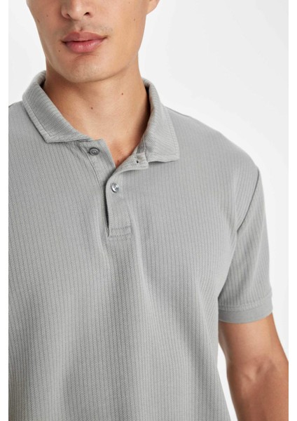 %100 Pamuk Regular Fit Polo Yaka Basic Düz Kısa Kollu Tişört D4814AX24SM indirimleri