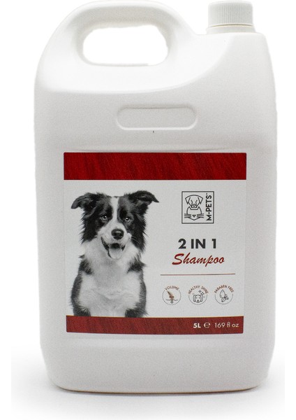 Shampoo & Conditioner 5 Lt 10117899