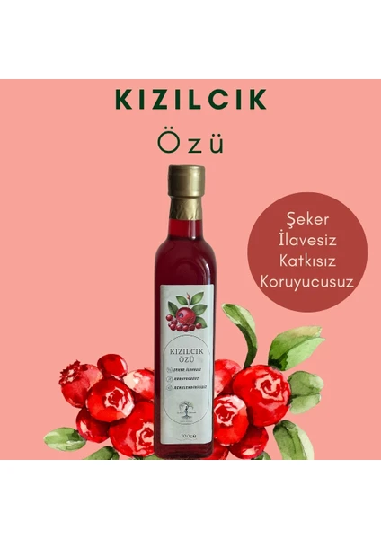 Sedlin Natural Kızılcık Özü