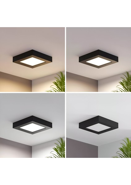 MX-1066N - 12W 4000K Ilık Beyaz | Siyah Kasa Sıva Üstü Kare LED Panel