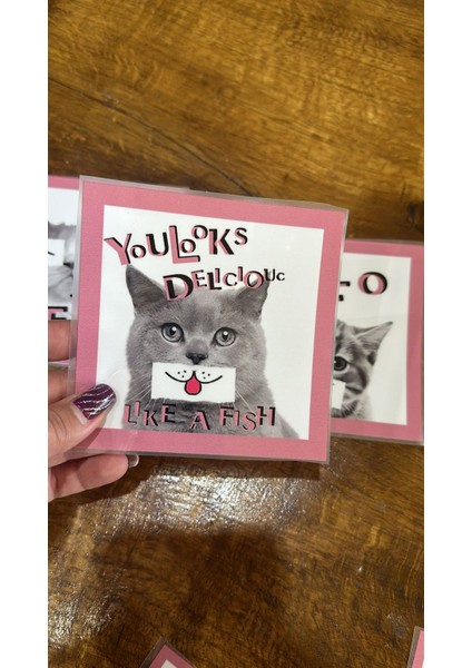 3 Adet Farklı Suratlı Kedi Transfer Baskı Arma 13X12 cm