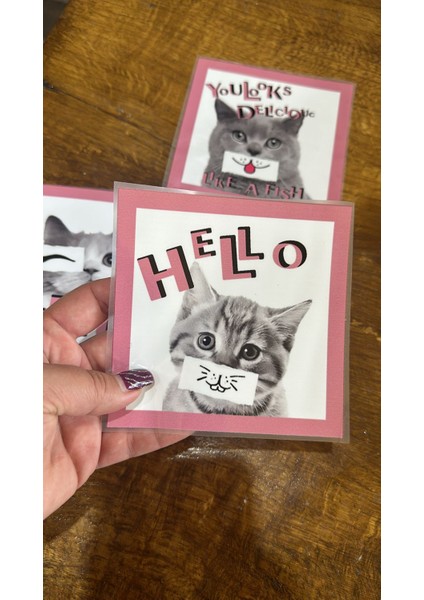 3 Adet Farklı Suratlı Kedi Transfer Baskı Arma 13X12 cm fiyatları