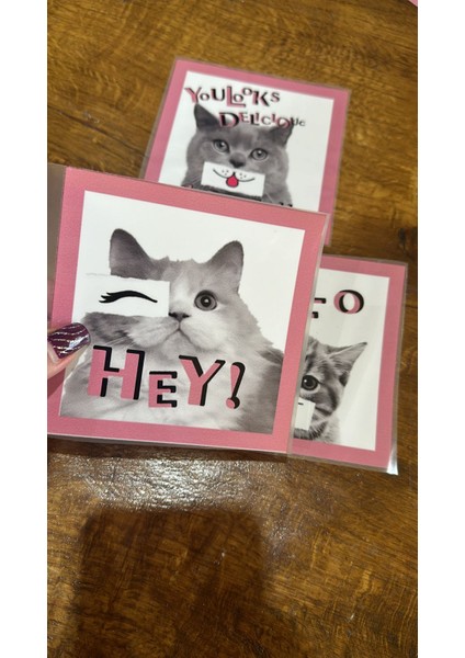 3 Adet Farklı Suratlı Kedi Transfer Baskı Arma 13X12 cm modelleri