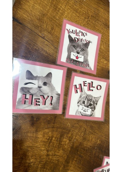 3 Adet Farklı Suratlı Kedi Transfer Baskı Arma 13X12 cm fırsatları