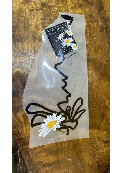 Ütü Ile Yapışan Sarmaşık Çiçek Tişört Transfer Baskı Arma 25X12 cm fiyatları