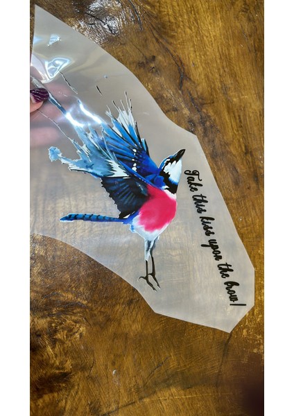 Ütü Ile Yapışan Renkli Kuş Transfer Baskı Arma 29X14 cm