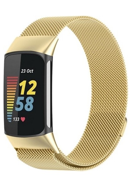 Fitbit Charge 5 Için Manyetik Metal Saat Kordonu