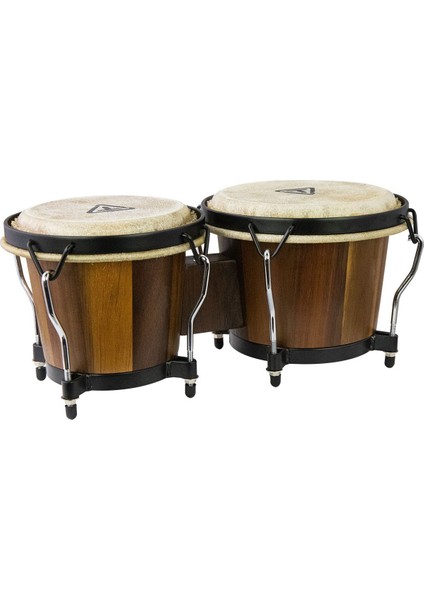 6''-7'' Broad Leaf Acacia Ritmo Bongo TB8BBA