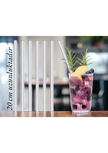 6 Lıcam Pipet