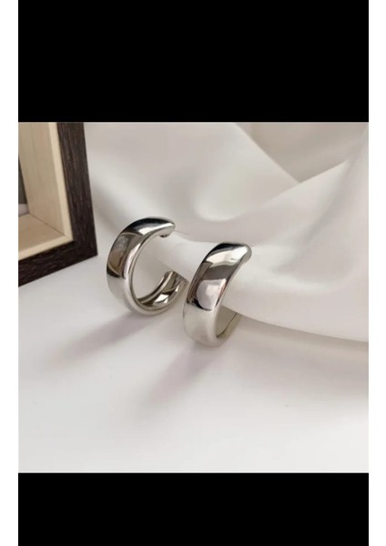 Hafif Gümüş Rengi Halka Küpe fiyatları