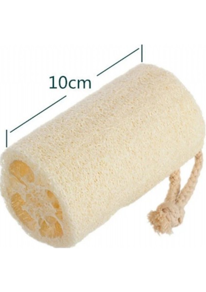 Kabak Lifi Doğal 10CM 1AD