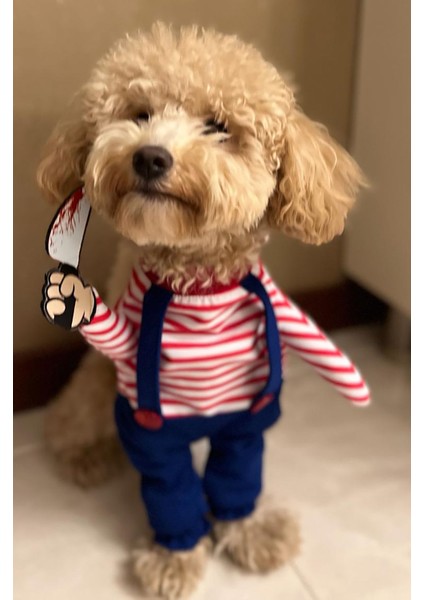 Chucky Katil Bebek Onden Giydirmeli Köpek Kıyafeti Kostümü fiyatları