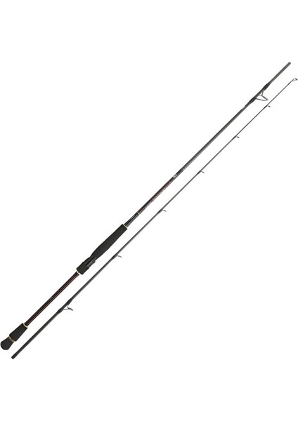 Infeet Seabass 2.44M 14-42GR 2p Kamış