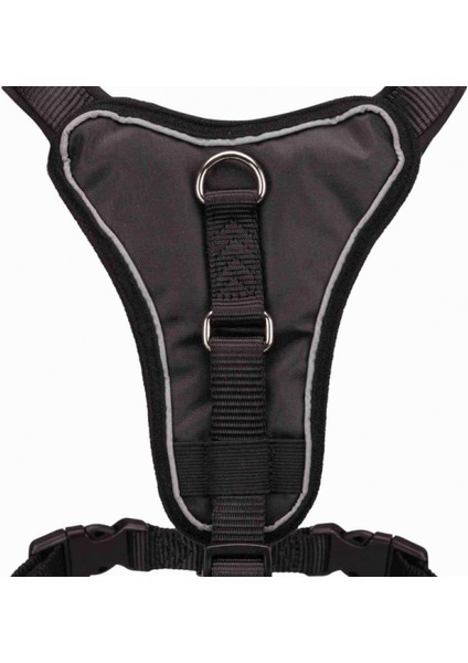 Köpek Premium Göğüs Tasması XS 33-42cm 10mm Siyah 13