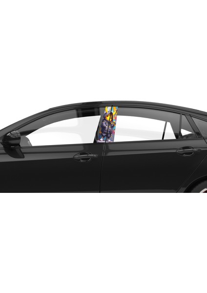 Araba Etiketleri, Tuning Kaplama, Direk Folyosu - Pikachu, Pokemon modelleri