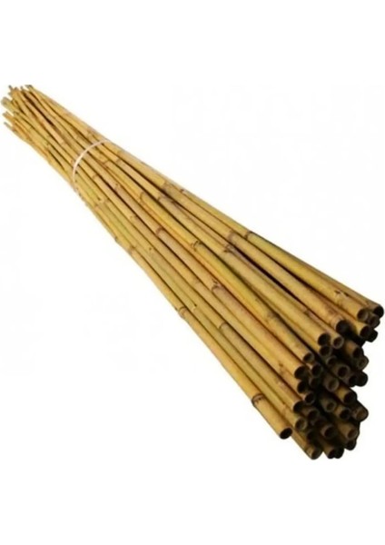 Orta Asya Gerçek Bambu Çubukları 2.40 Metre Boy 50 Adet 1 Bağ 20-22 mm Çok Düzgün Kalınlıkta
