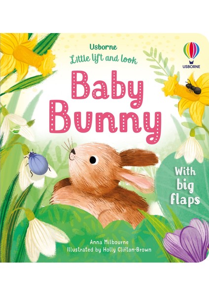Little Lift and Look Baby Bunny - Anna Milbourne