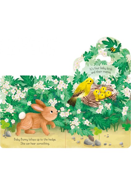 Little Lift and Look Baby Bunny - Anna Milbourne fiyatları